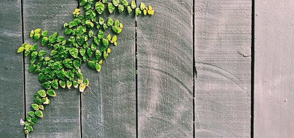 Fence Installation Cost: The Best Way to Estimate